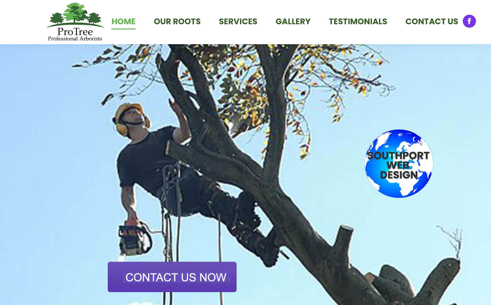Southport-Web-Design-Pro-tree website design Birkdale